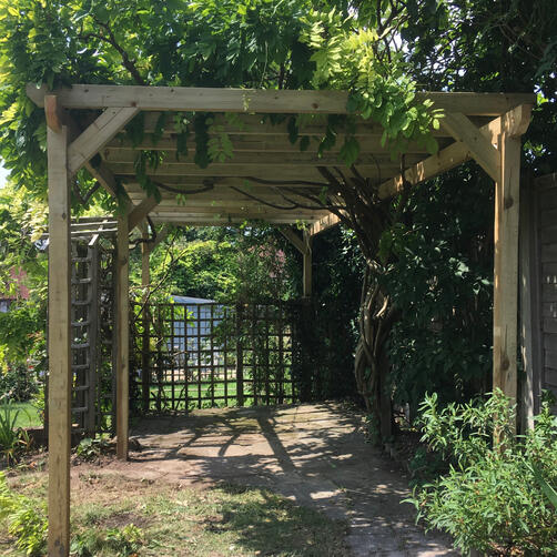 Pergola for wisteria